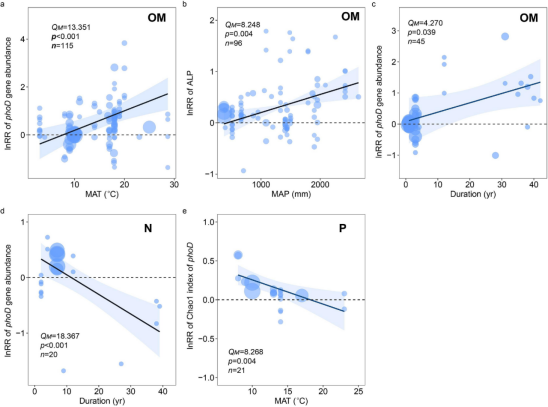 1746499718468261.png image.png