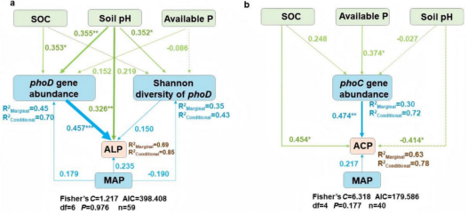 1746499755101815.png image.png