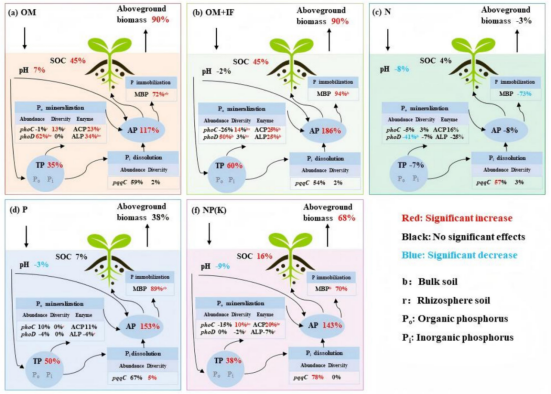 1746499788160951.png image.png