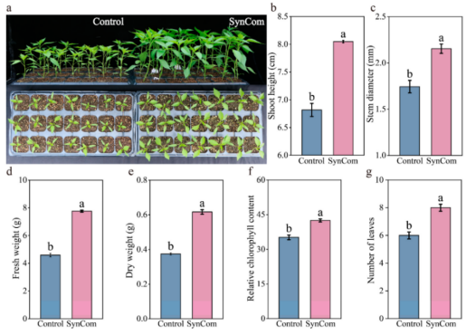 1751359128108373.png image.png