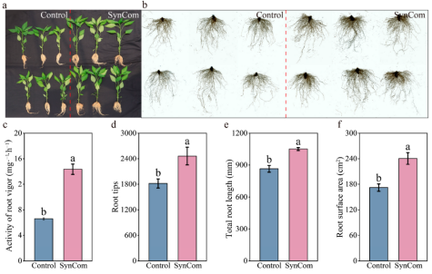 1751359144669422.png image.png