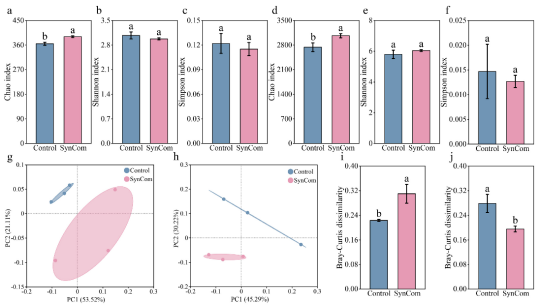 1751359164209013.png image.png