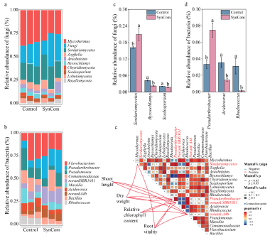 1751359178459078.png image.png