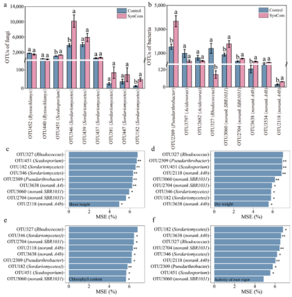 1751359192136394.png image.png