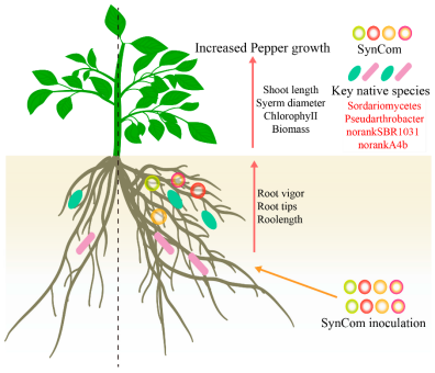 1751359206203157.png image.png