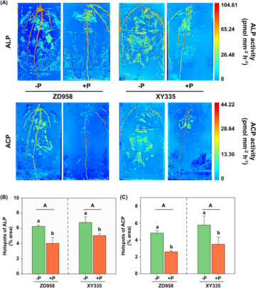 1755570148944276.png image.png