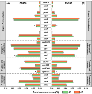 1755570170274680.png image.png