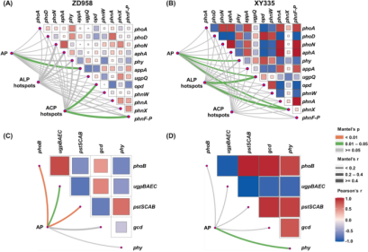 1755570183132877.png image.png