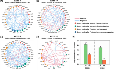 1755570202136995.png image.png